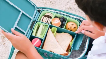 Best Kids Lunch Boxes in 2026