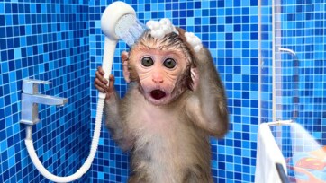 Best Bath Toys & Kids Hygiene Products 2026 - What Actually Works